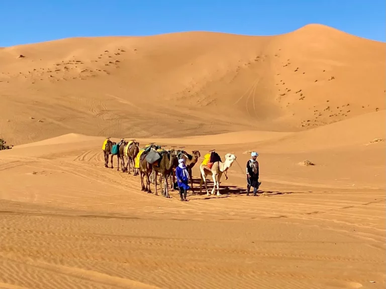 II Ibérico Aventura, Marruecos, 2025 (foto 4)