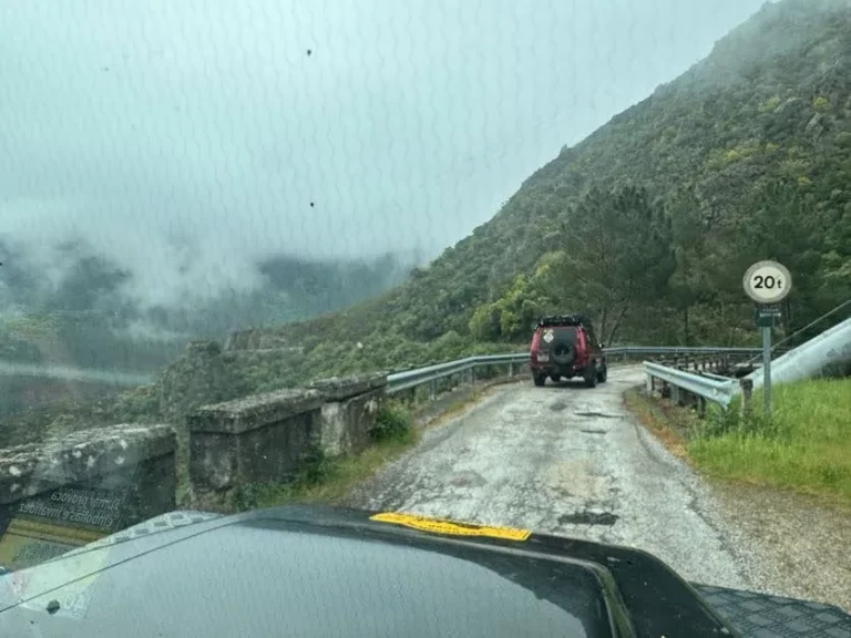 II Peregrinaje a Cangas de Onís, 2026 (foto 4)