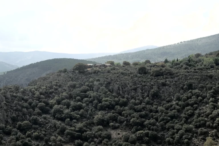 II Peregrinaje a Cangas de Onís, 2026 (foto 5)