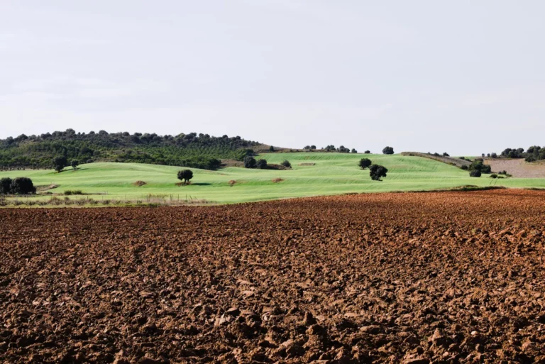 II Peregrinaje a Cangas de Onís, 2026 (foto 6)
